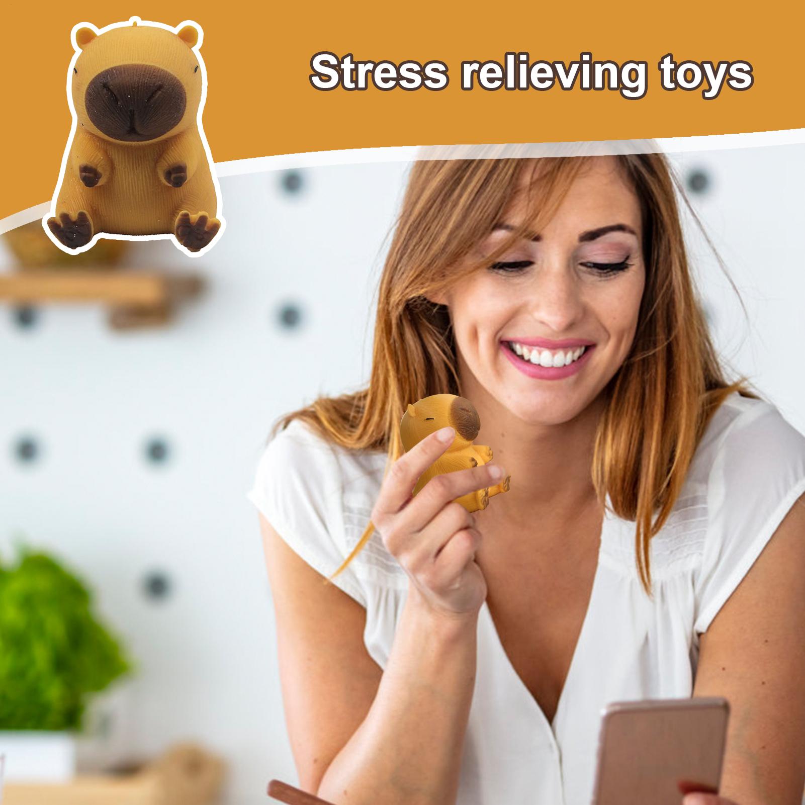 Slow Rebound Squeeze Toy Kawai - Kids Outdoor Nature Toys review and price