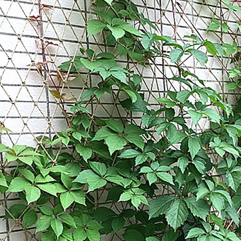 Plant Support Netting Natural  - Kids Outdoor Net review and price