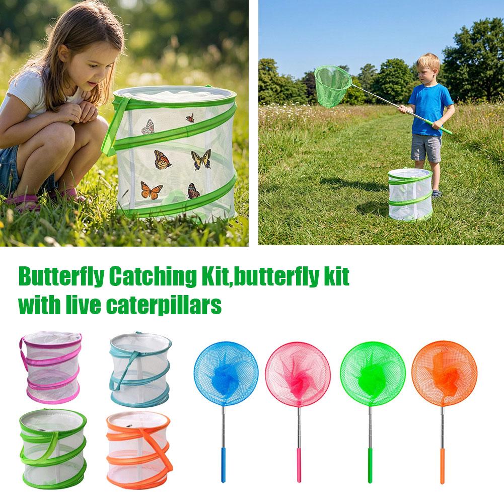 Kids Butterfly Catching Kit Fo - Kids Outdoor Net review and price