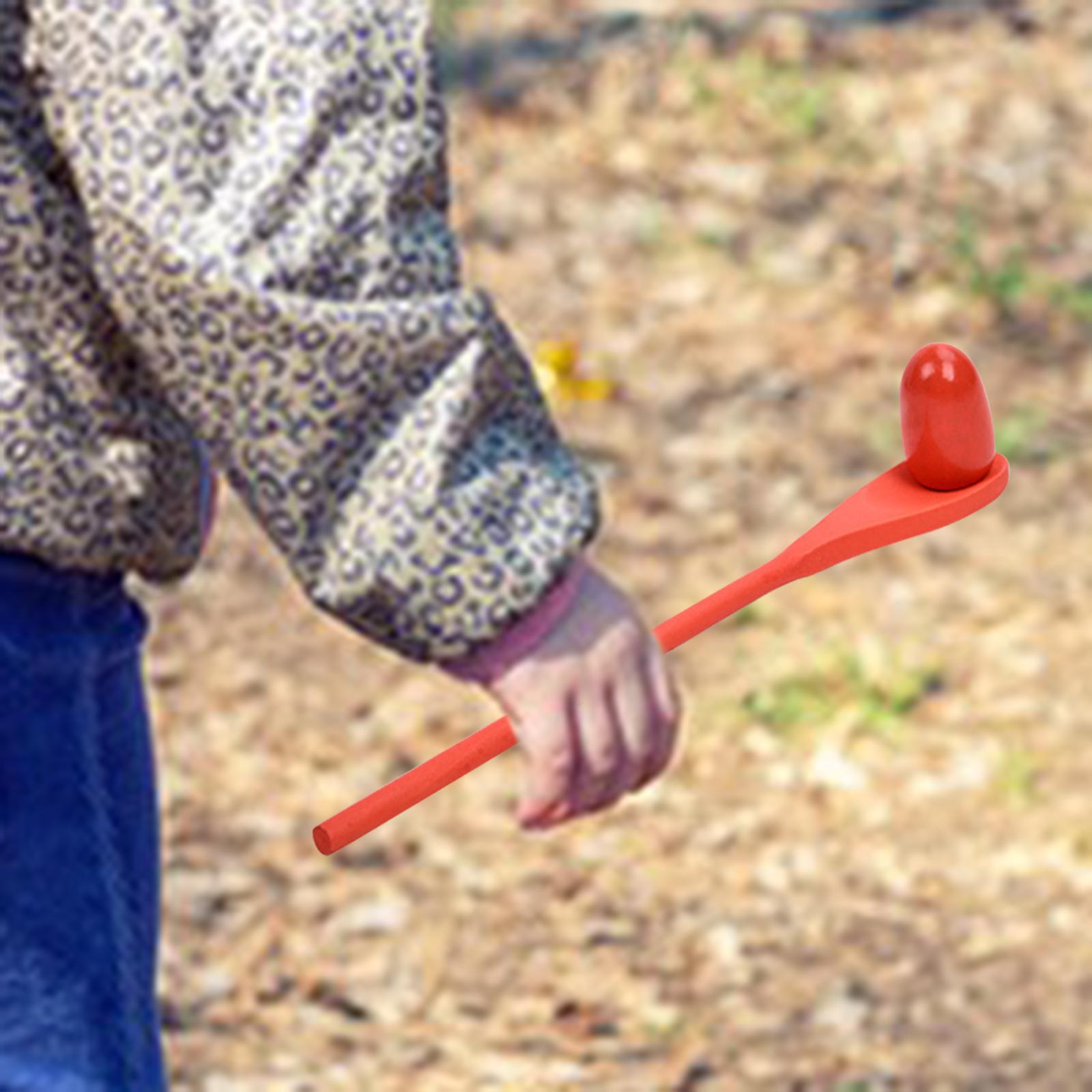 6 Pieces Egg Spoon Race Game H - Kids Outdoor Yard Toys review and price